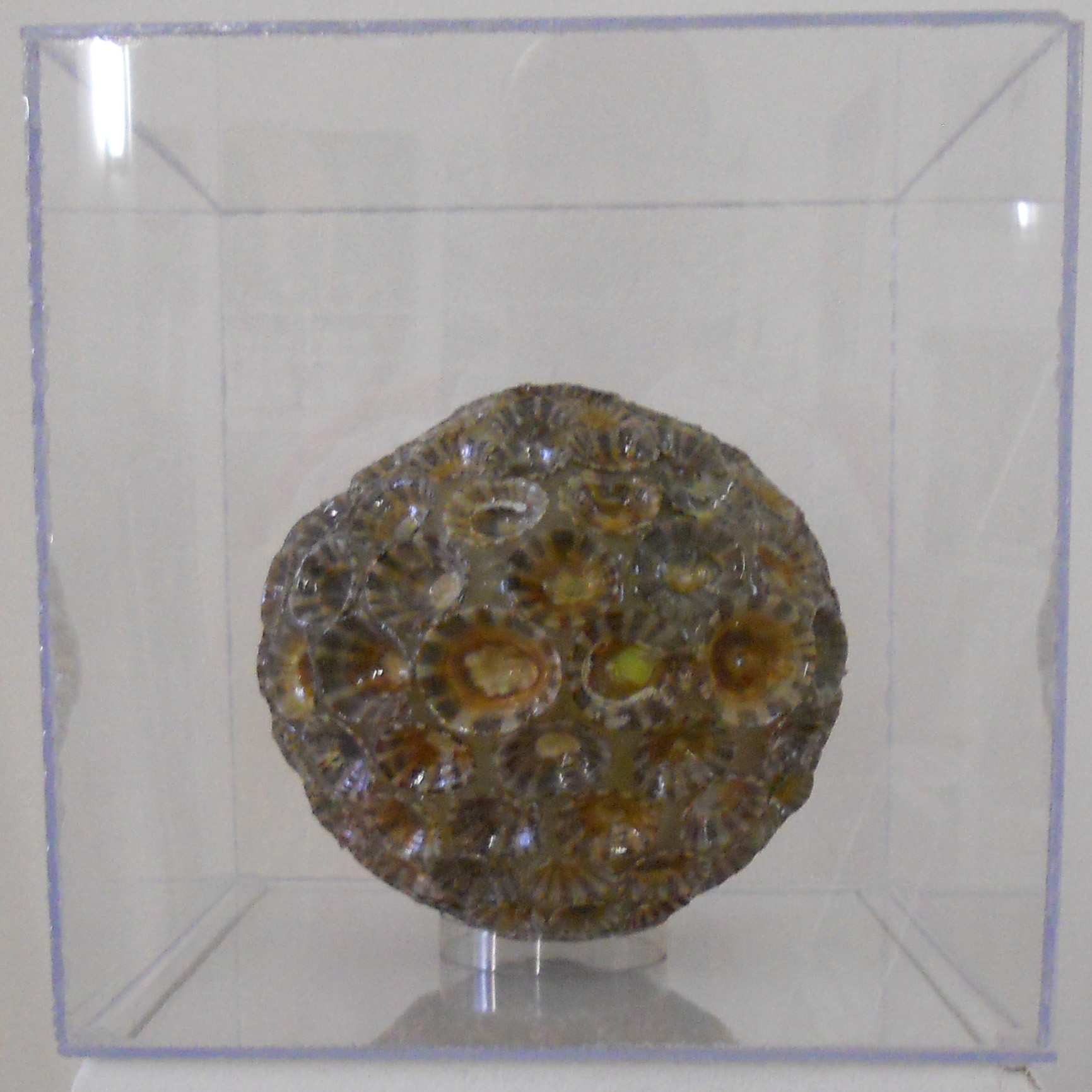 MW 18 (Hohe Aufl&ouml;sung)